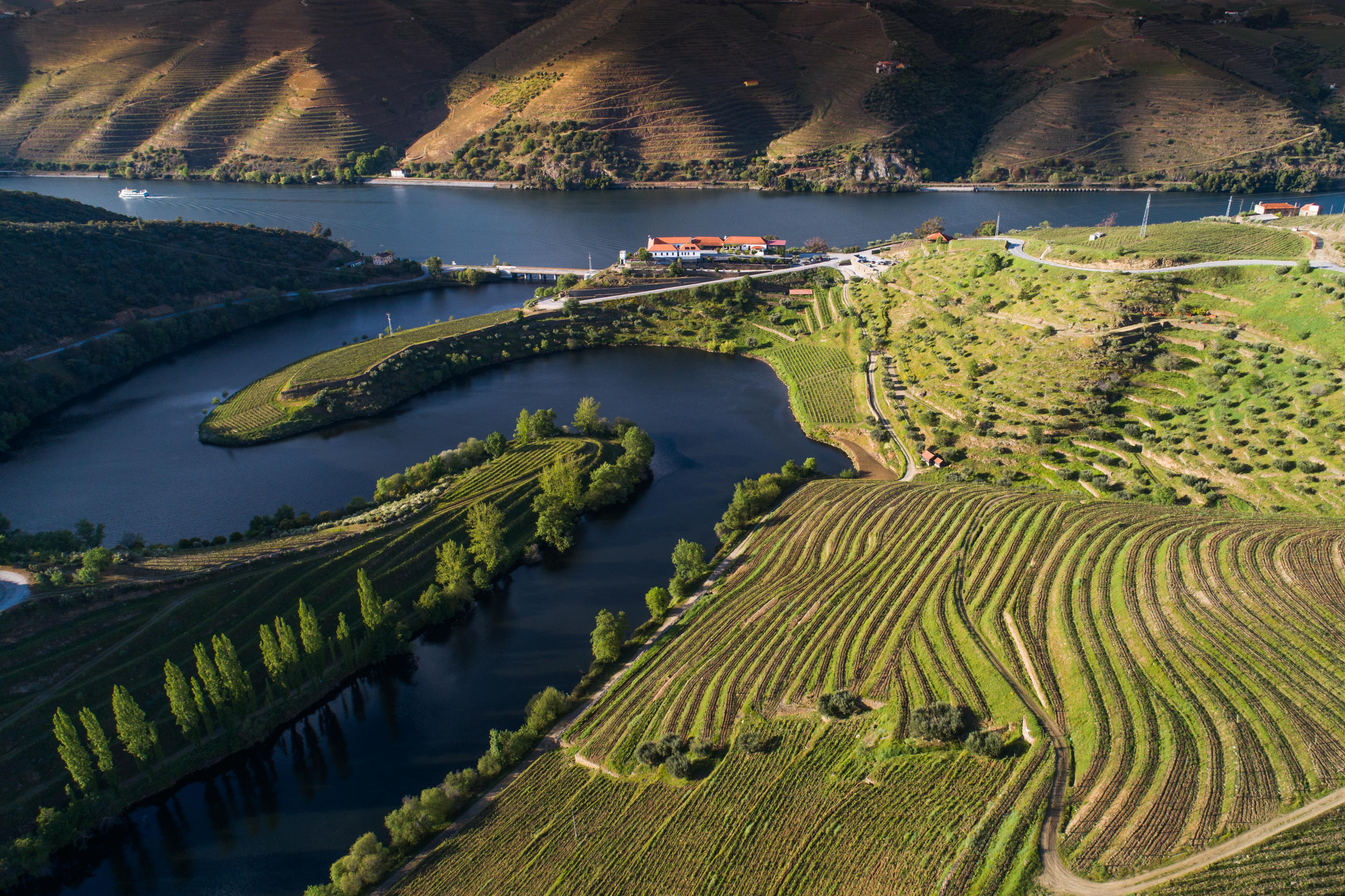 Vila Gale Douro Vineyards Armamar Exterior photo