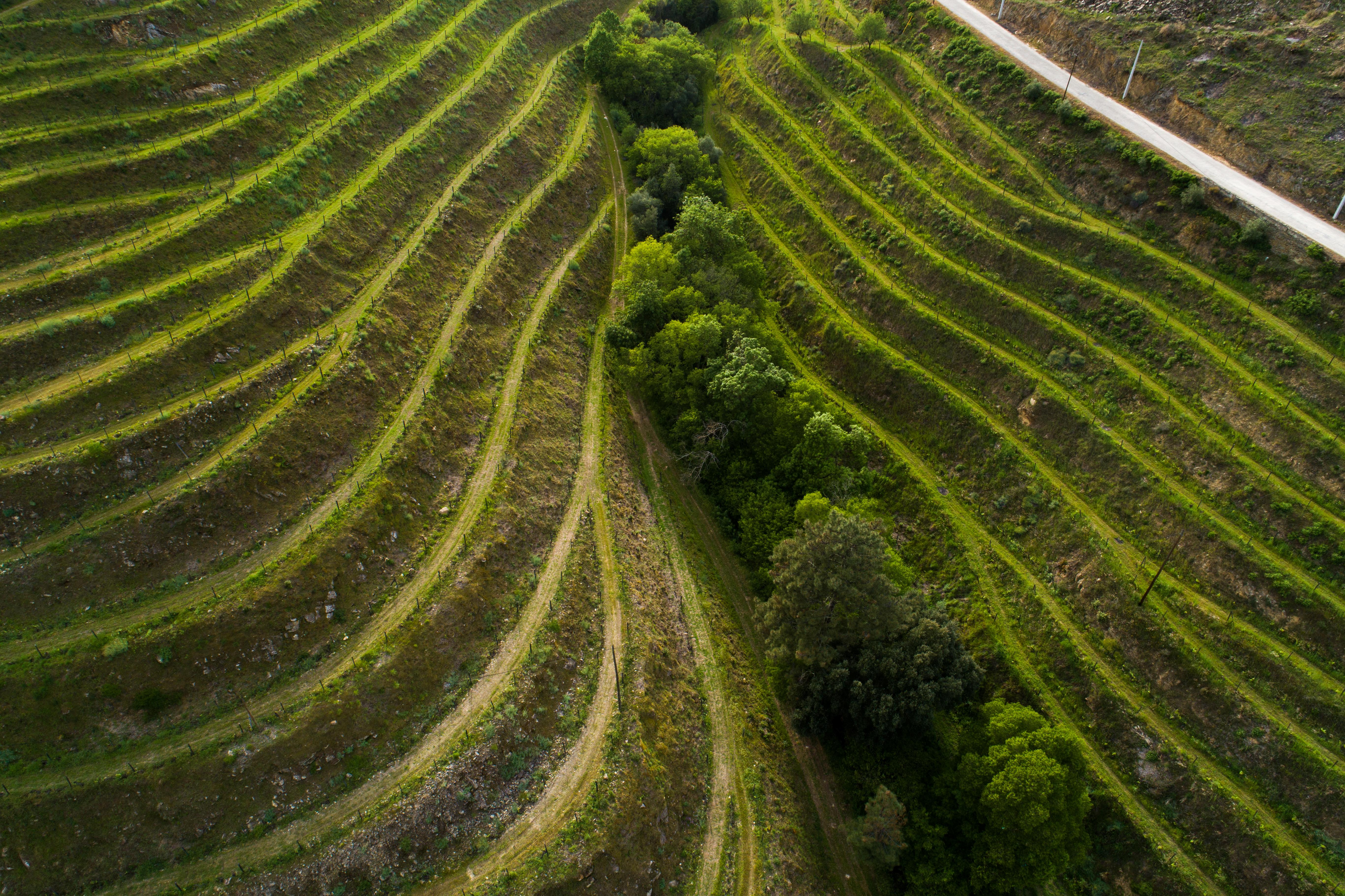 Vila Gale Douro Vineyards Armamar Exterior photo