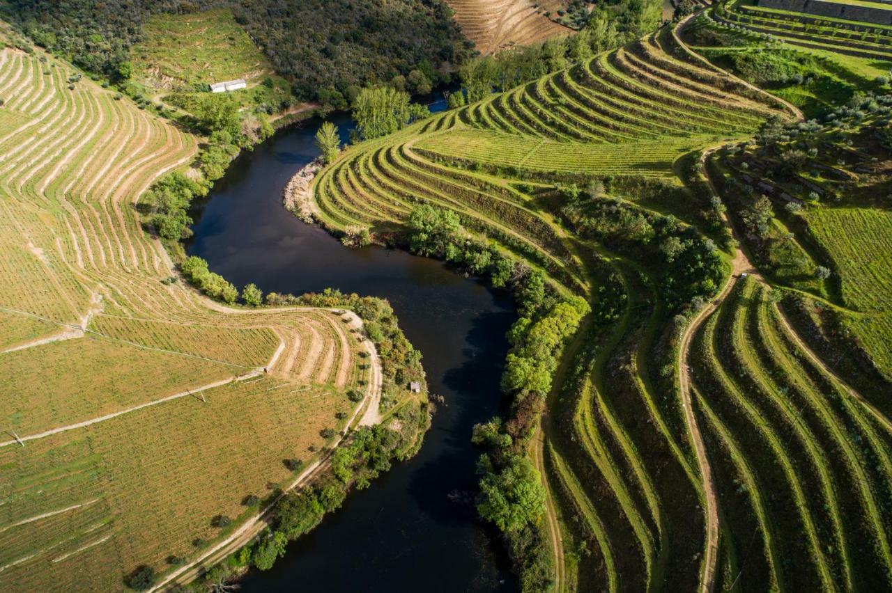 Vila Gale Douro Vineyards Armamar Exterior photo